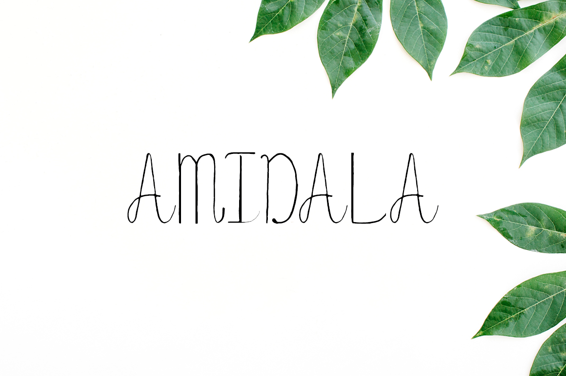 Amidala: A Handwritten Script Font for Modern Web Design