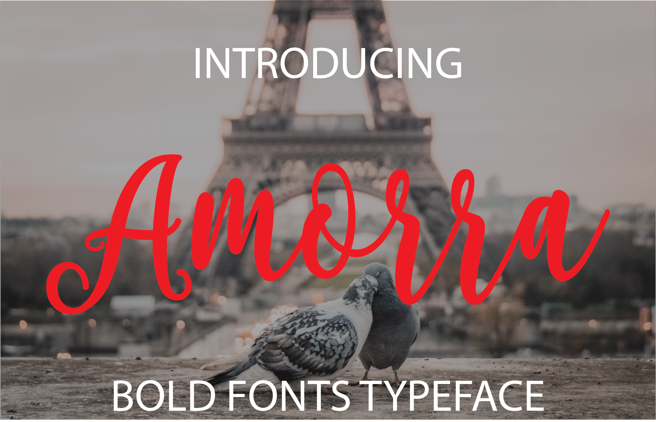 Amorra: The Script Typeface for Scroll-Stopping Social Content