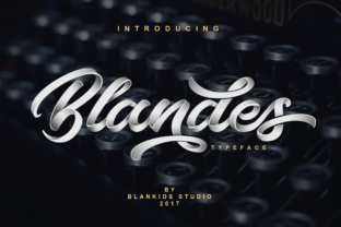 Blandes: A High-Impact Script Font for Modern Web Design