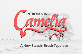 Camelia: A Handwritten Typeface for Editorial Clarity