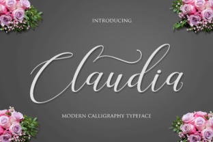 Claudia Typeface: Elevating Campaign Visuals with Modern Script Design