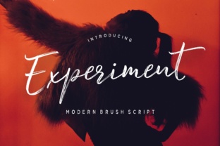 Experiment Brush: The Perfect Script Font for Handmade Brands