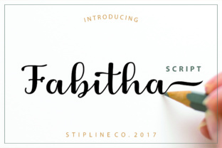 Fabitha: A Modern Script Amp Typeface for Handmade Brands