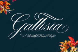 Gallisia Typeface Review: A Feminine Script for Elegant Brand Identity