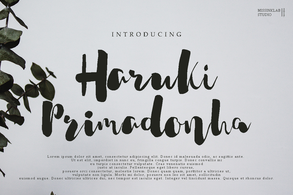Haruki Primadonha: A Modern Script for Editorial Design