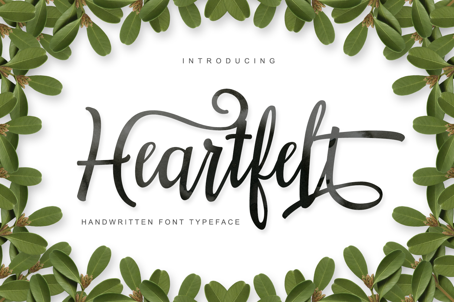Heartfelt: The Script Font That Builds Trust for Small Businesses