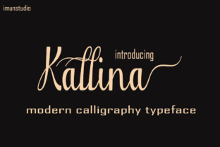 Kallina Typeface Review: Elevating Campaign Visuals with Modern Script Design