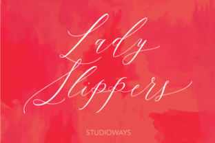 Lady Slippers: A Designer’s Honest Take on This Script Amp Typeface