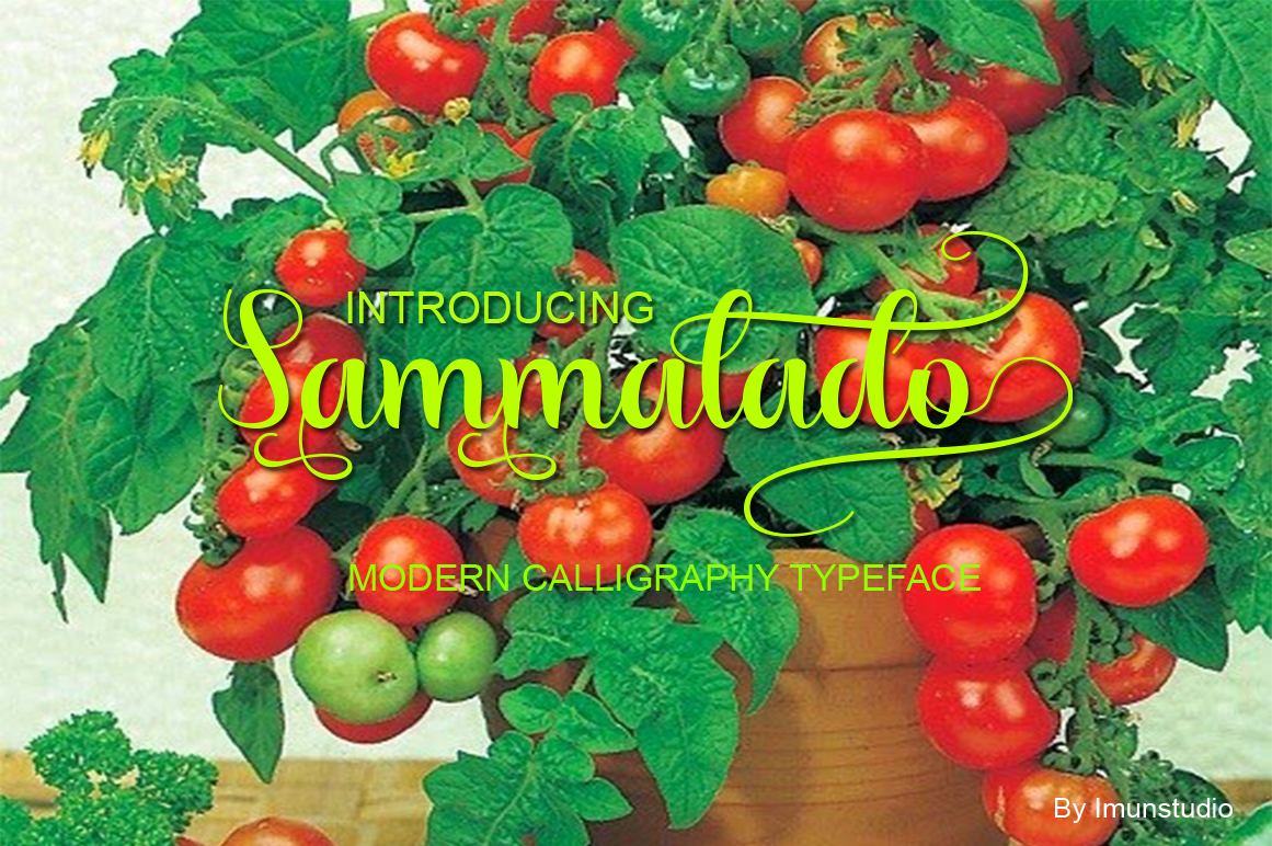 Sammalado: The Handwritten Typeface That Transforms Brand Identity